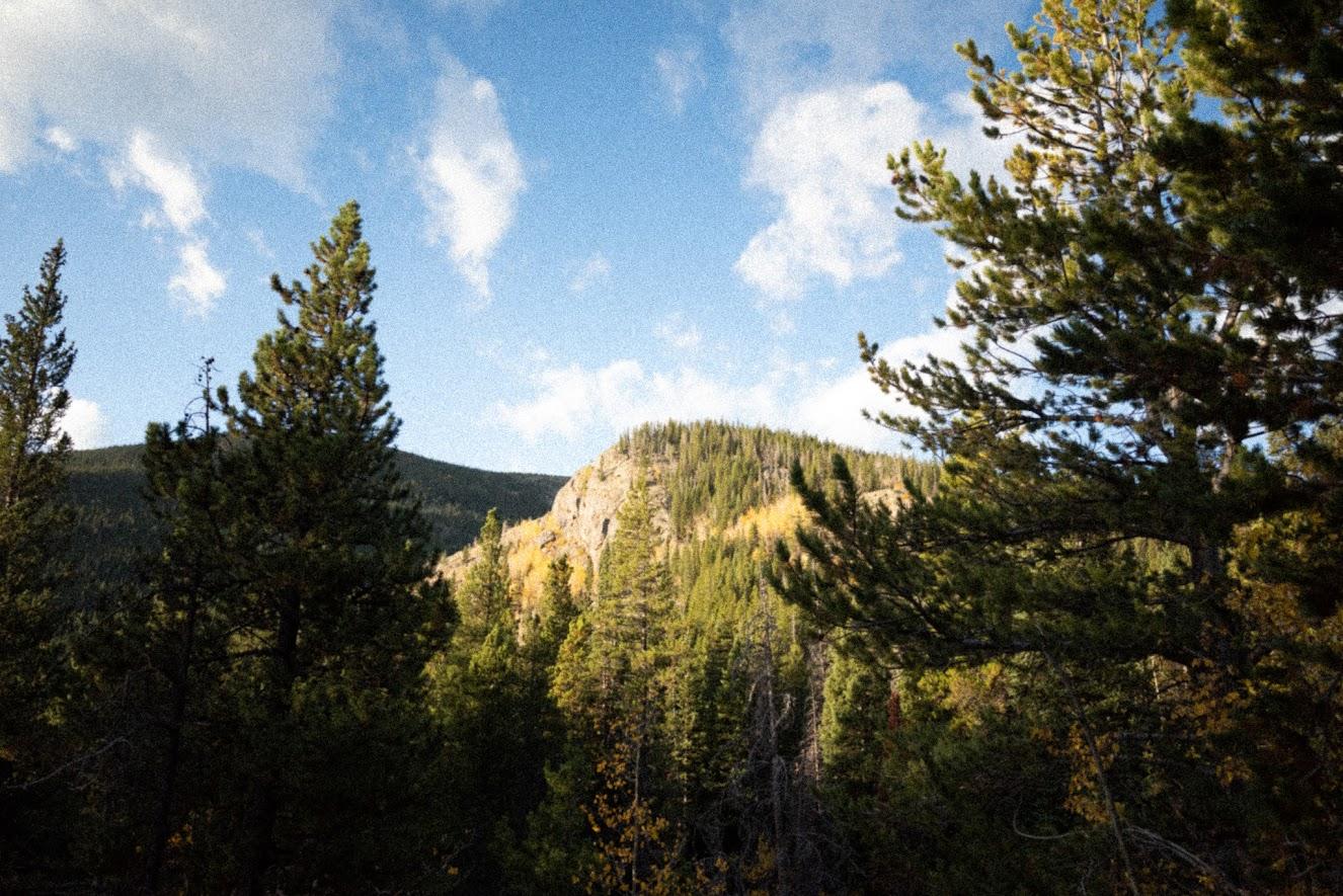 Hiking with Sierra